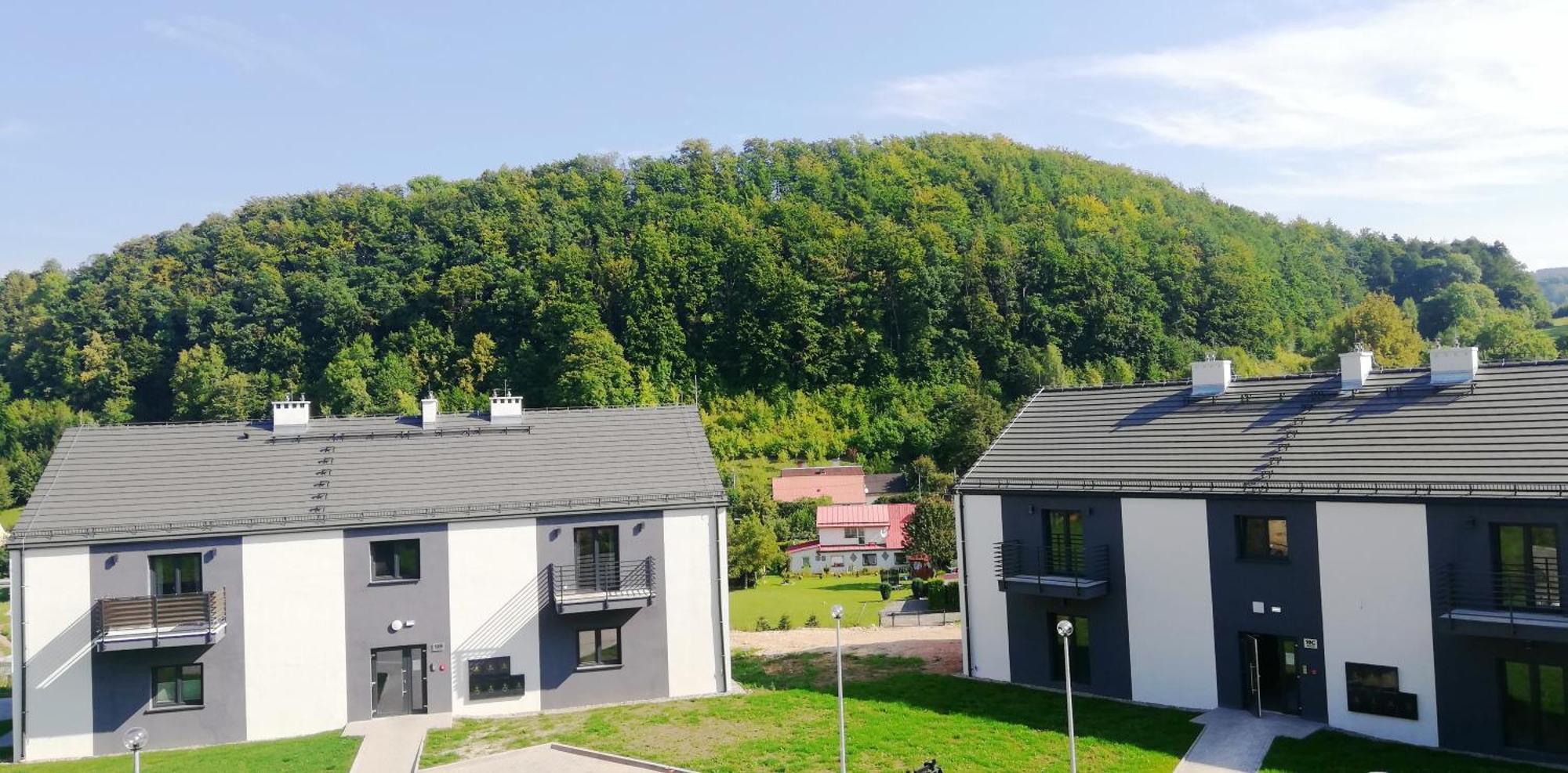Apartment Roku 2025 !! Spa & Relax Jelen & Natura Bad Kudowa Exterior foto